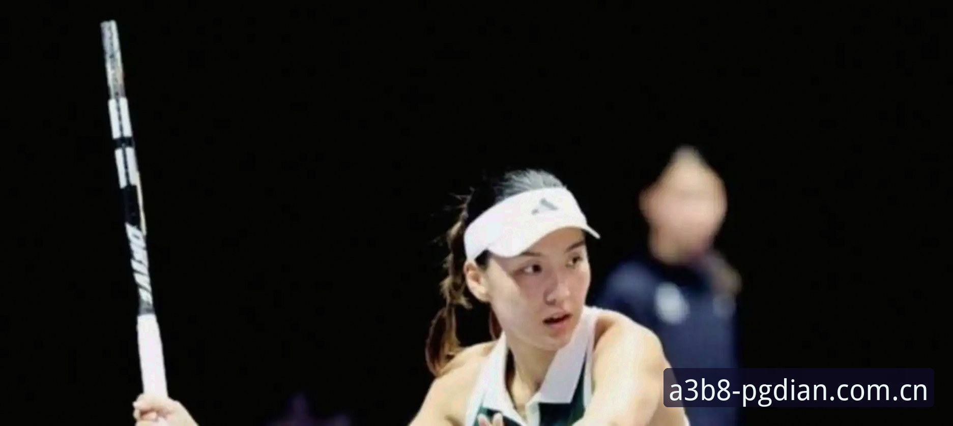 2026法网女单签表解读：中国金花挑战与机遇并存的操作教程